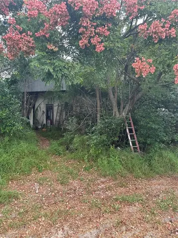 4998 Lake Lowery Road Haines City FL 33844