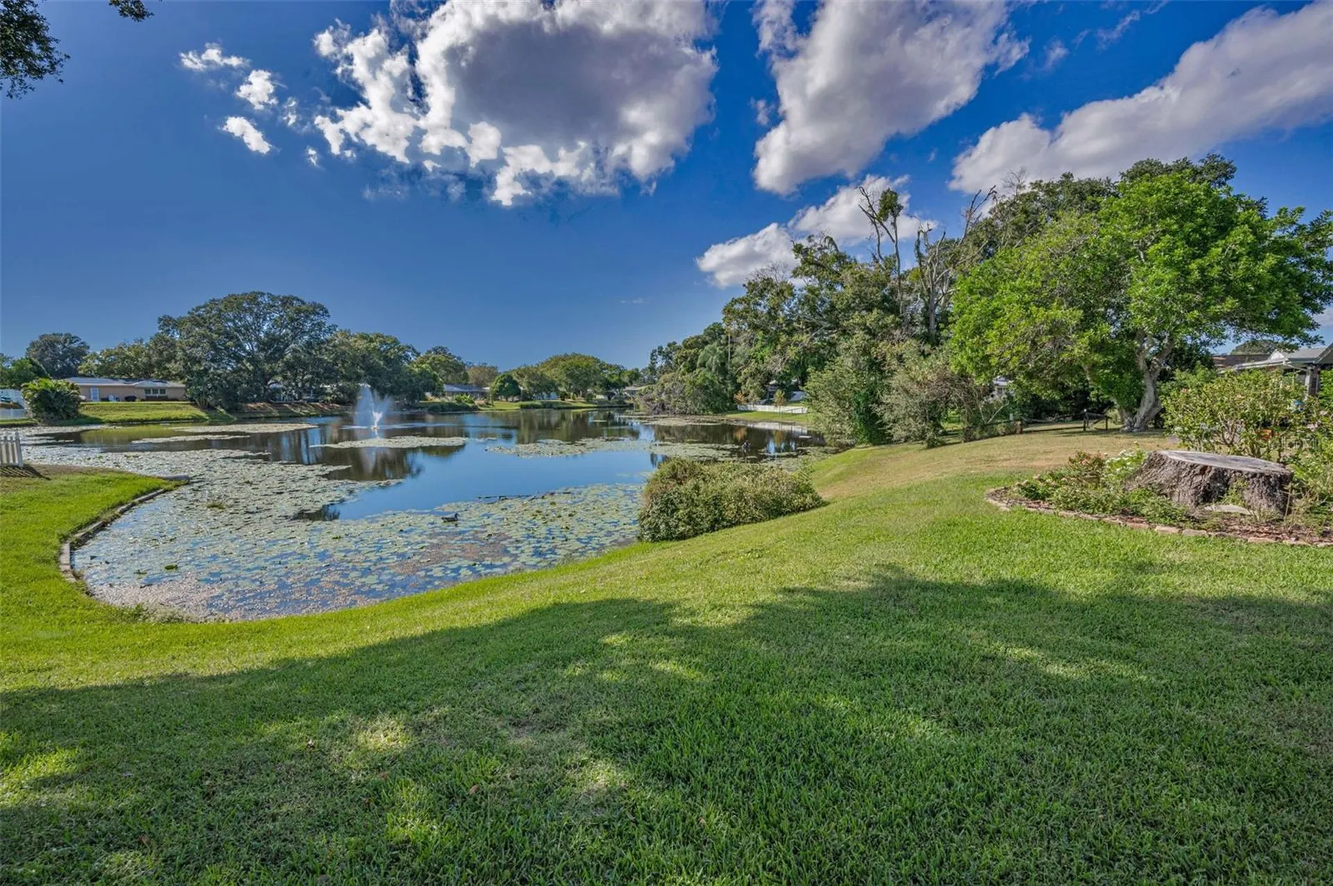 2087 Hillwood Drive Clearwater FL 33763