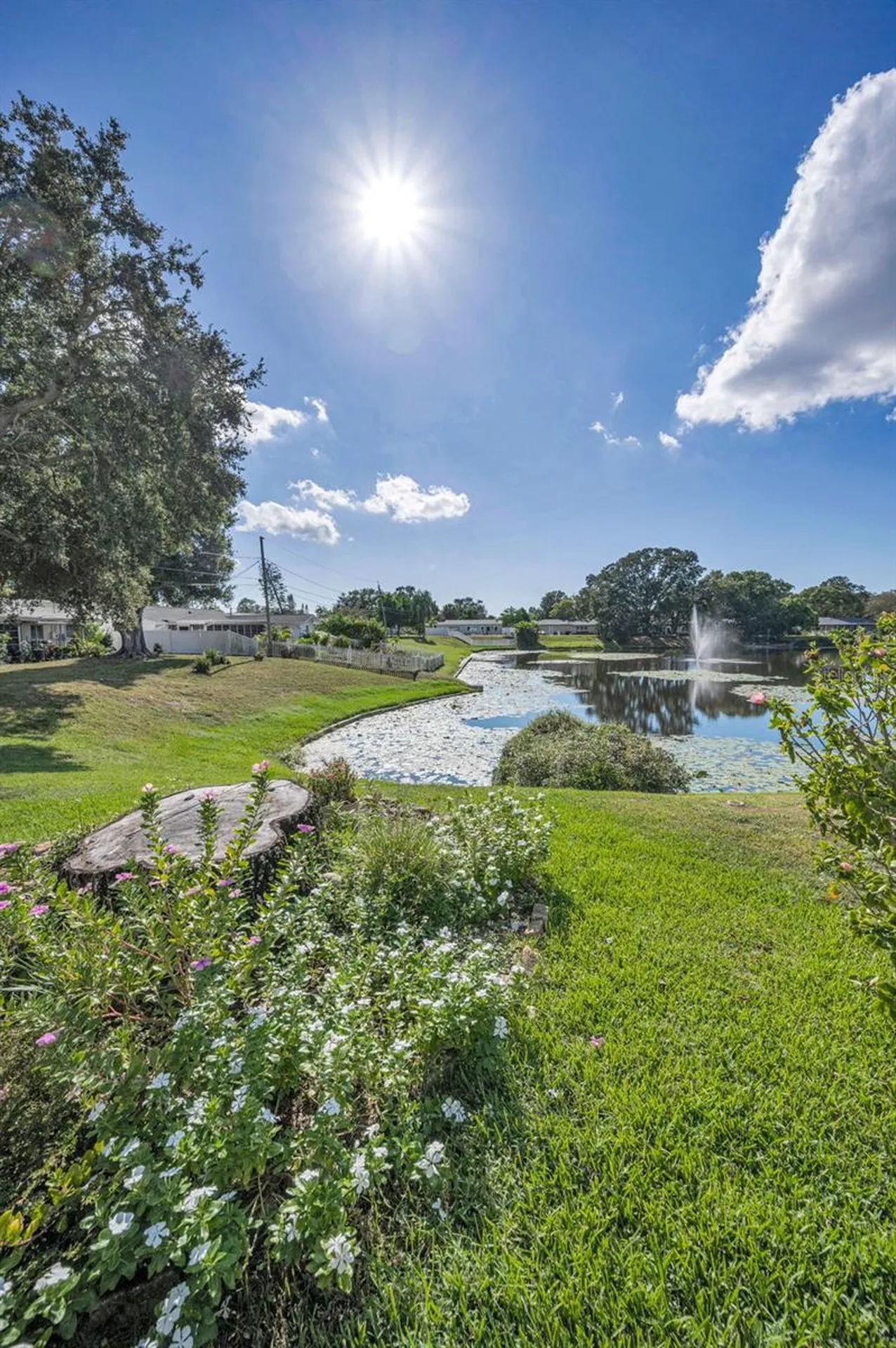 2087 Hillwood Drive Clearwater FL 33763