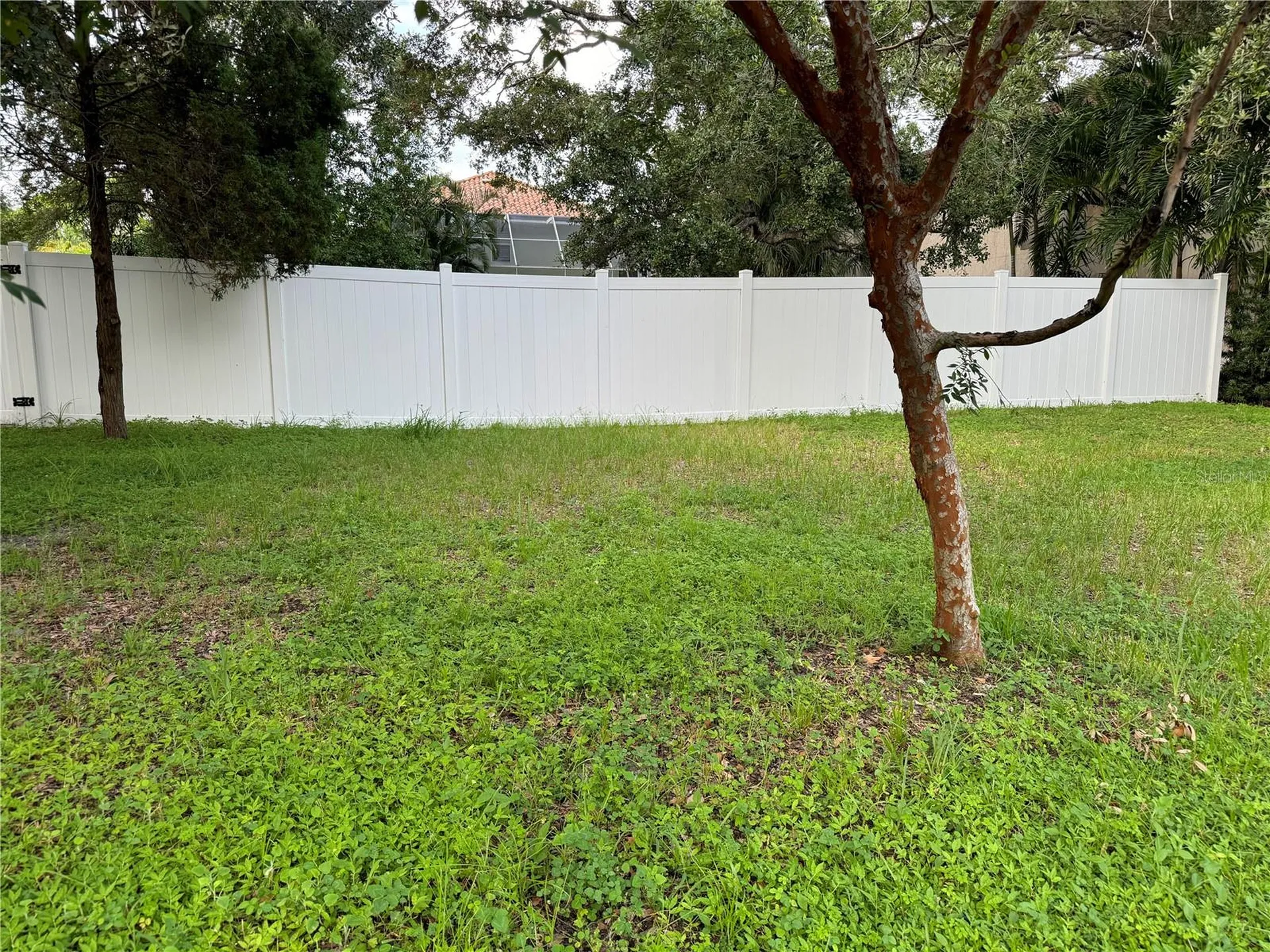 3115 W San Pedro Street Tampa FL 33629