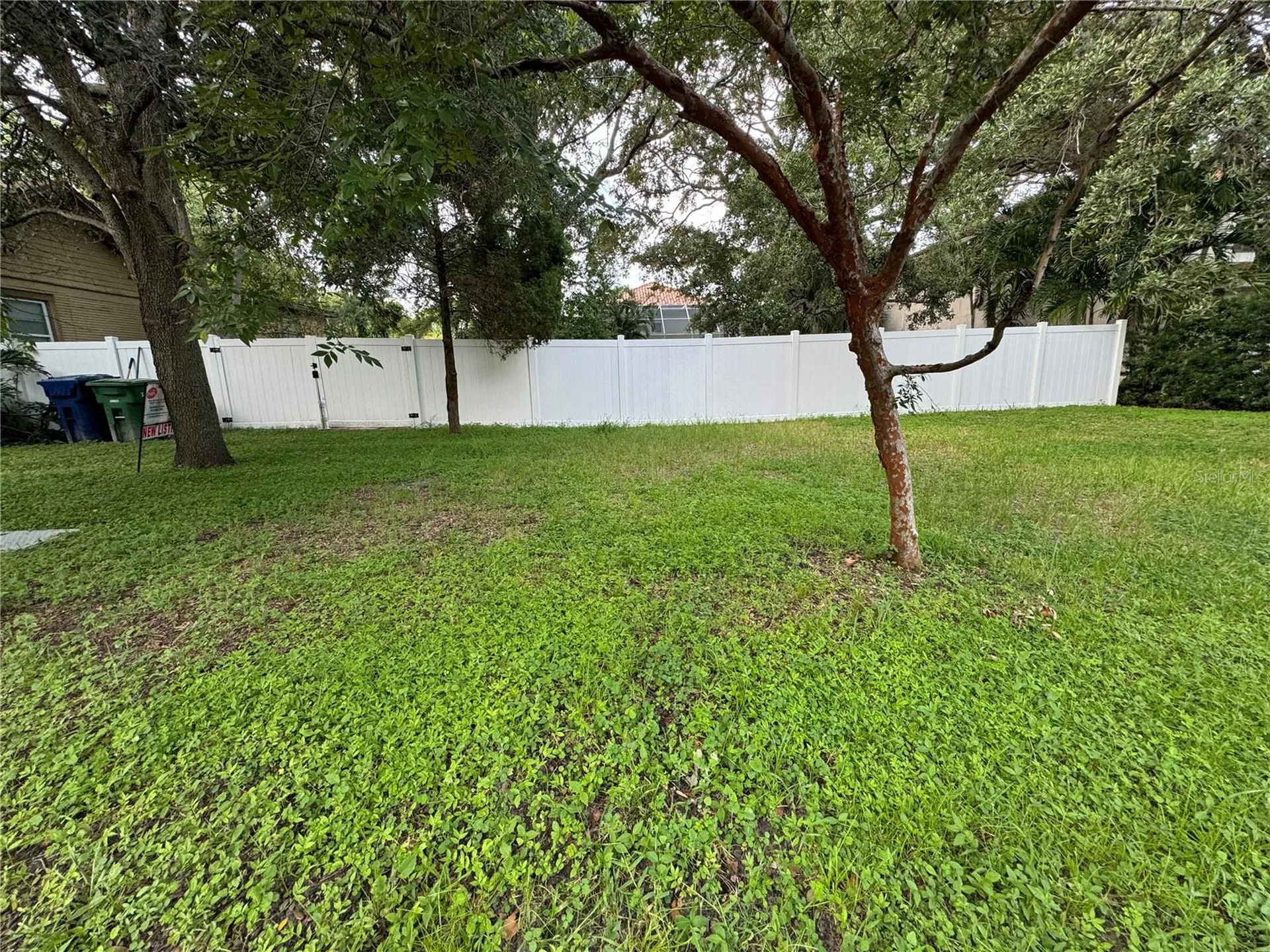 3115 W San Pedro Street Tampa FL 33629