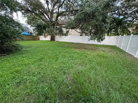 3115 W San Pedro Street Tampa FL 33629