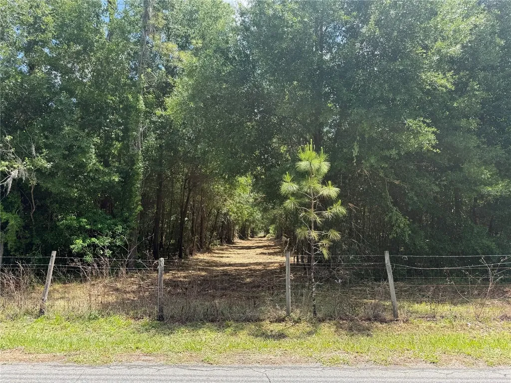 32742 Whitney Road Leesburg FL 34748