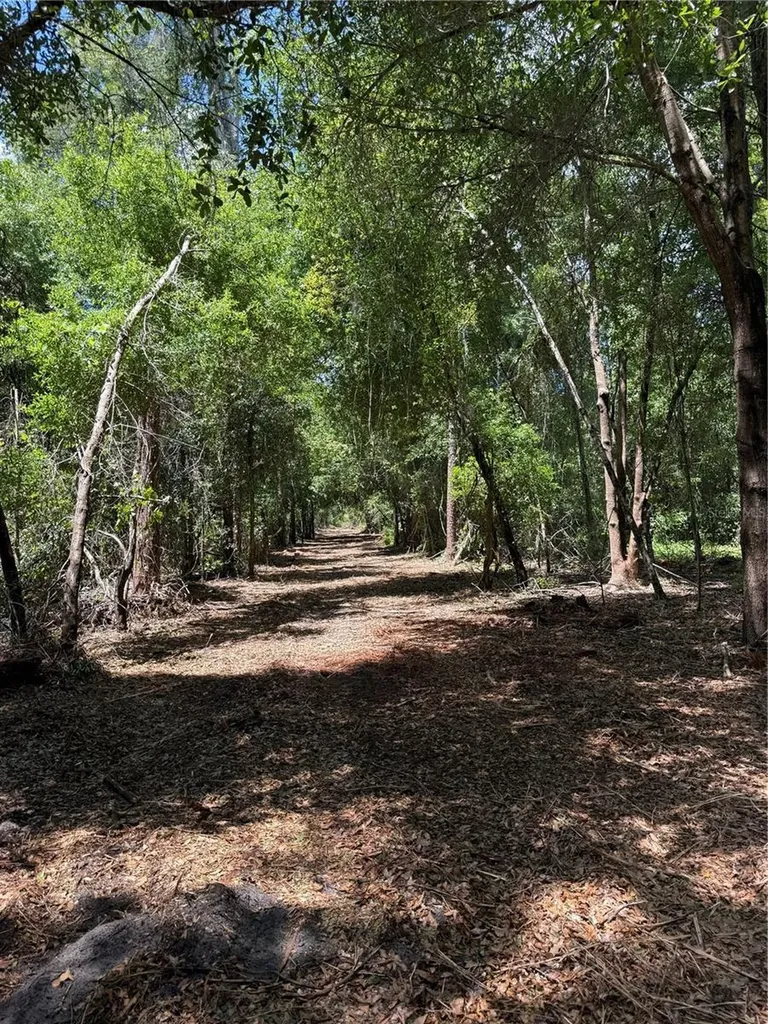 32742 Whitney Road Leesburg FL 34748