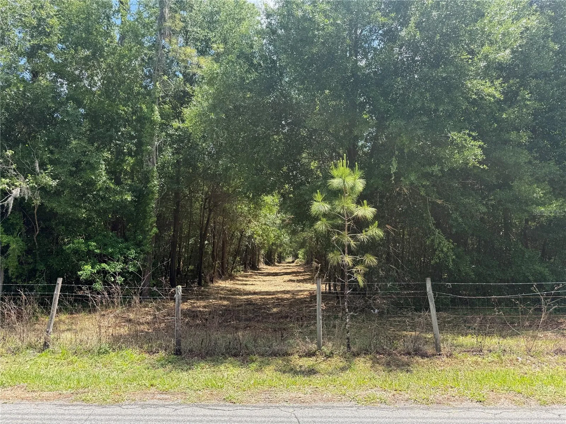 32742 Whitney Road Leesburg FL 34748