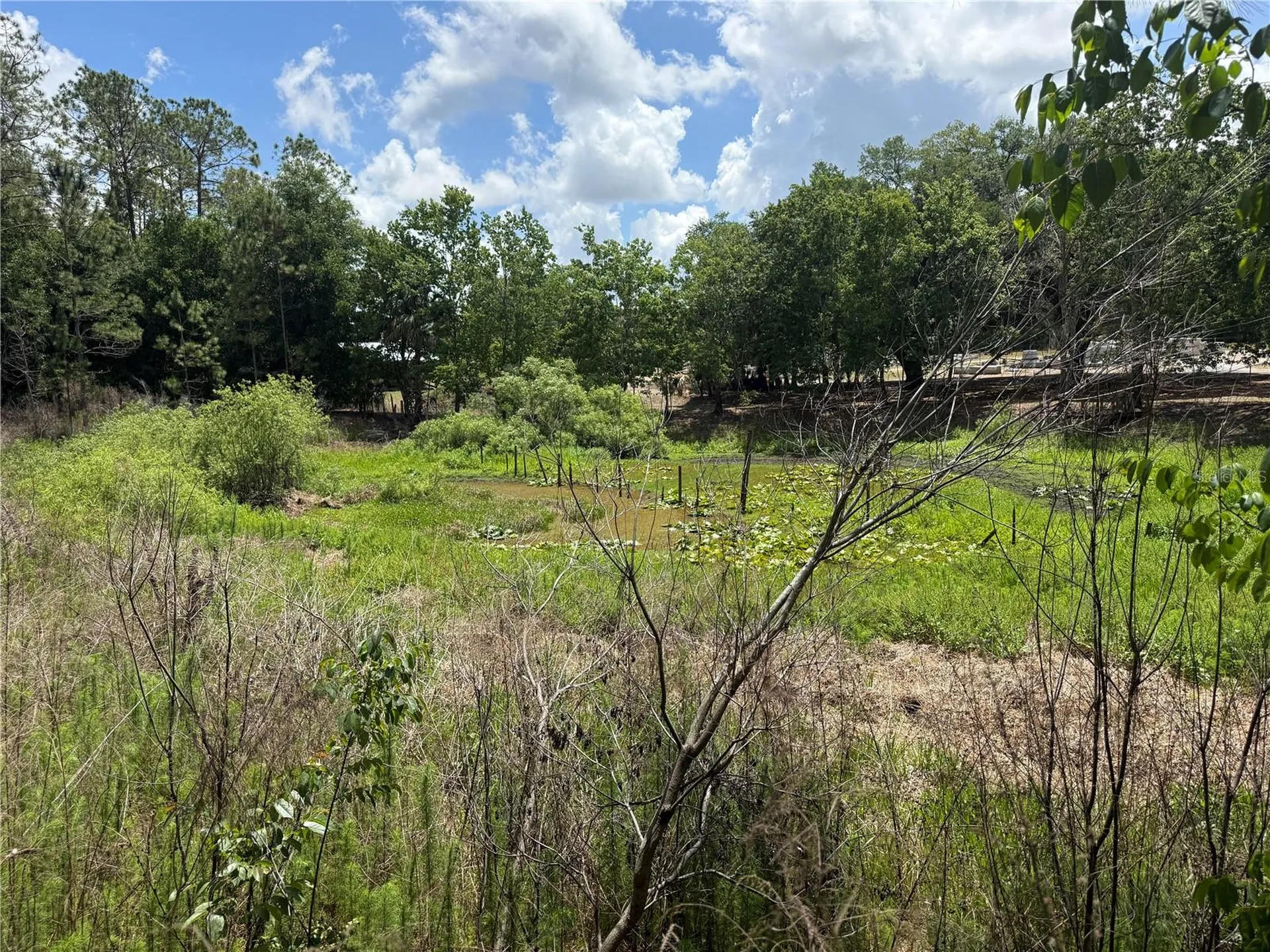 32742 Whitney Road Leesburg FL 34748