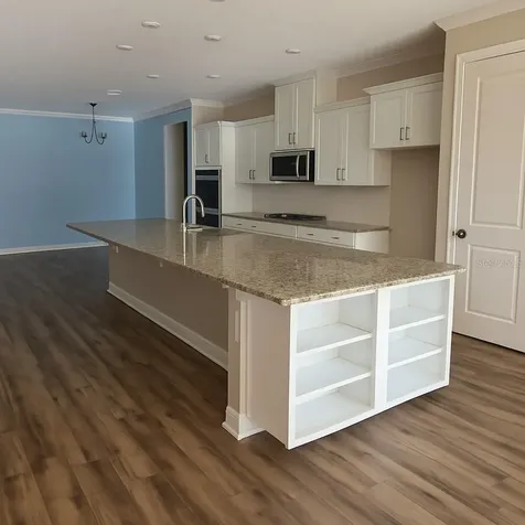26047 Exmoor Drive Sorrento FL 32776