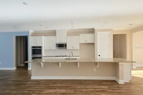 26047 Exmoor Drive Sorrento FL 32776