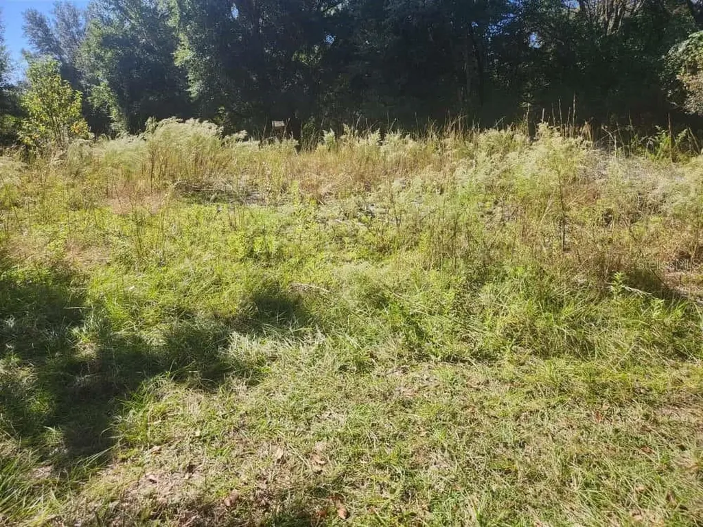 2307 Garfield Street Inverness FL 34453