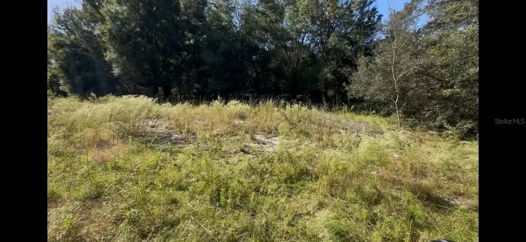 2307 Garfield Street Inverness FL 34453