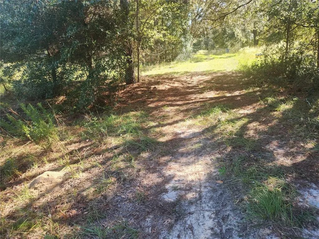2307 Garfield Street Inverness FL 34453