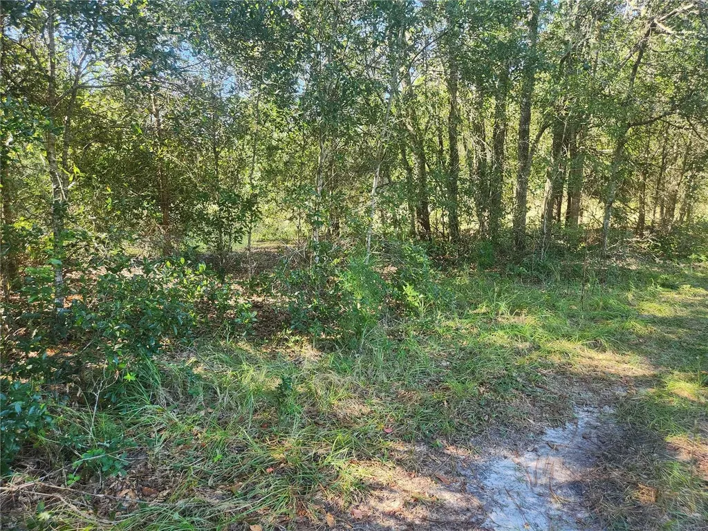 2307 Garfield Street Inverness FL 34453