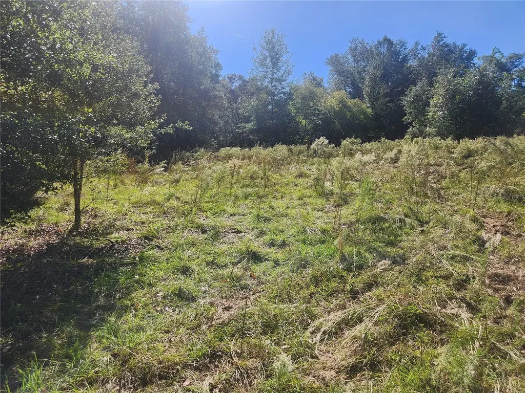 2307 Garfield Street Inverness FL 34453