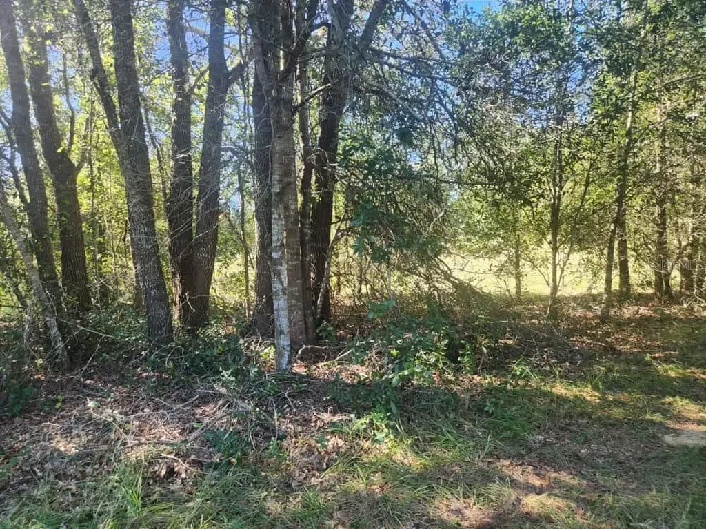 2307 Garfield Street Inverness FL 34453