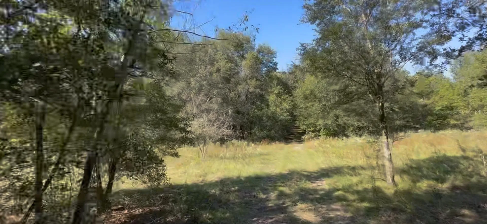 2307 Garfield Street Inverness FL 34453