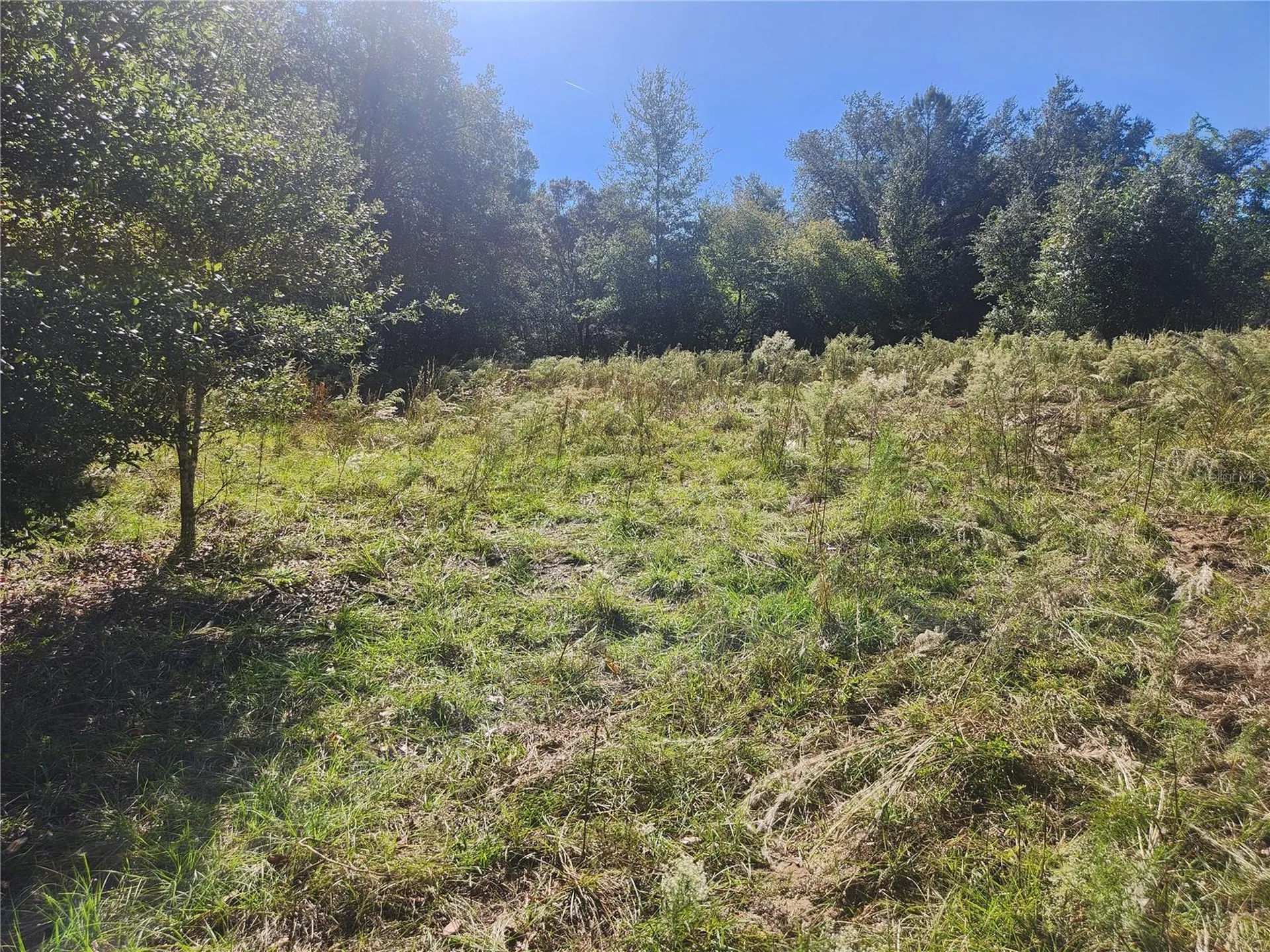 2307 Garfield Street Inverness FL 34453