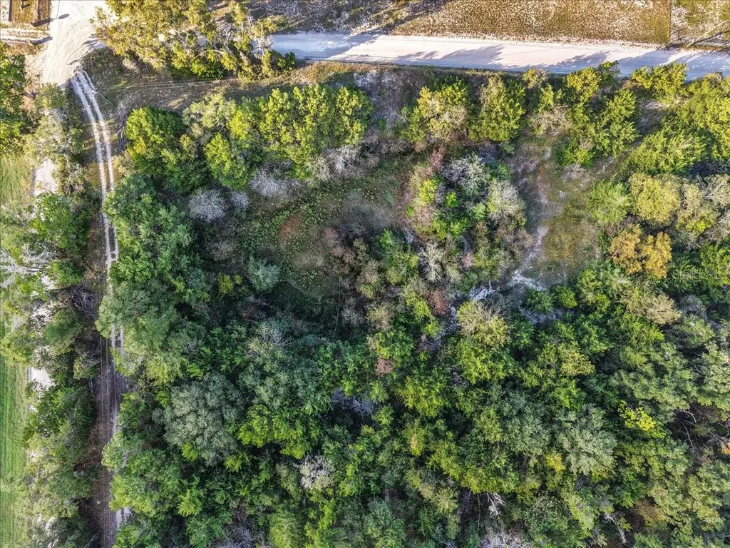 4654 NW 45th Avenue Bell FL 32619