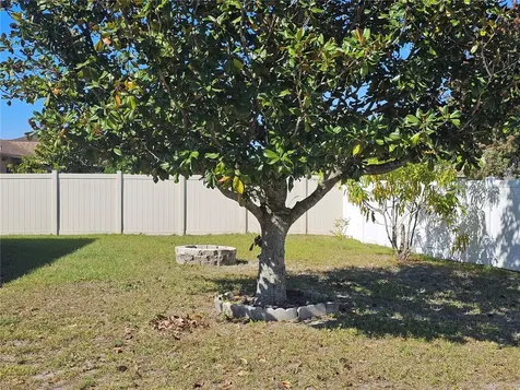 540 Oak Branch Circle Kissimmee FL 34758