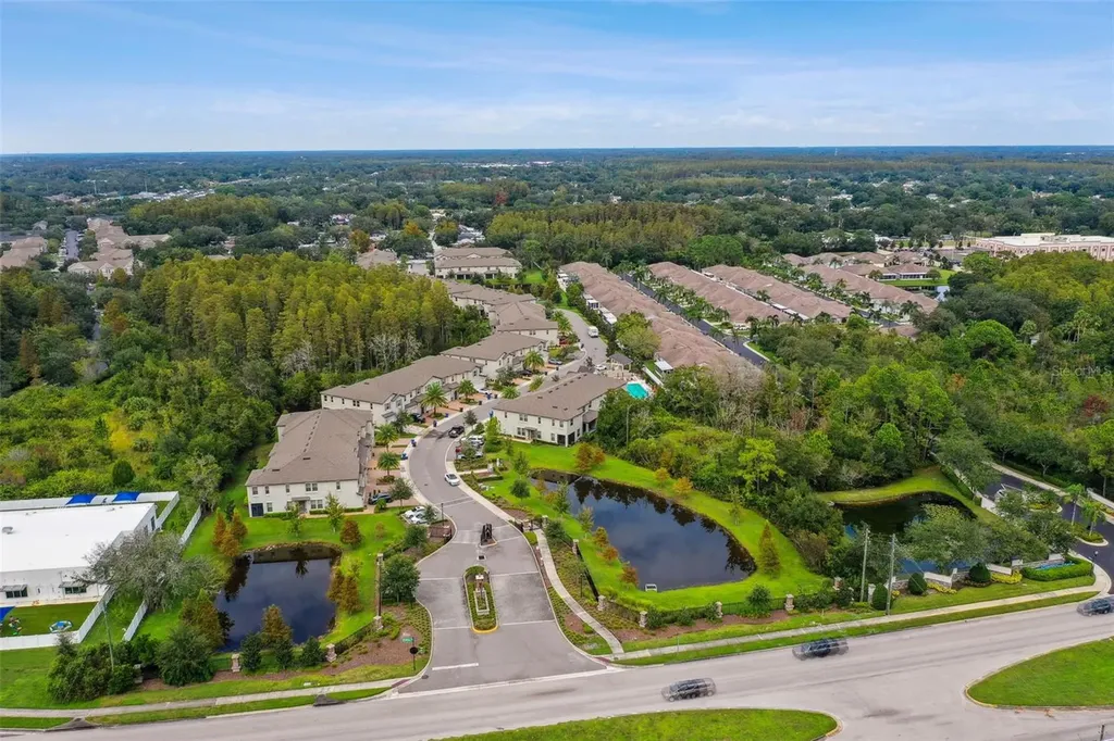 10012 Corso Milano Drive Tampa FL 33625