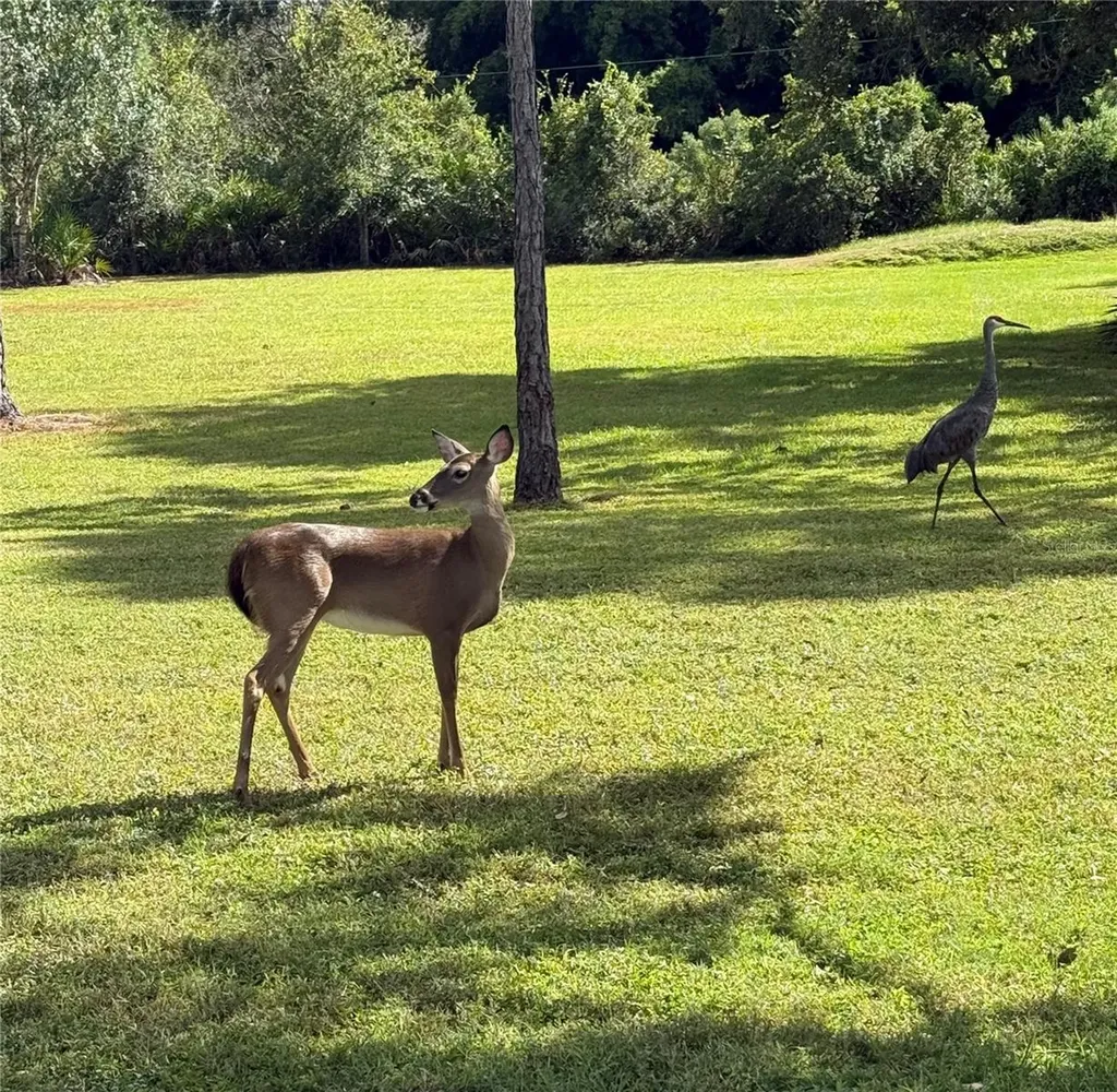 1408 Oak Hammock Road Sarasota FL 34240