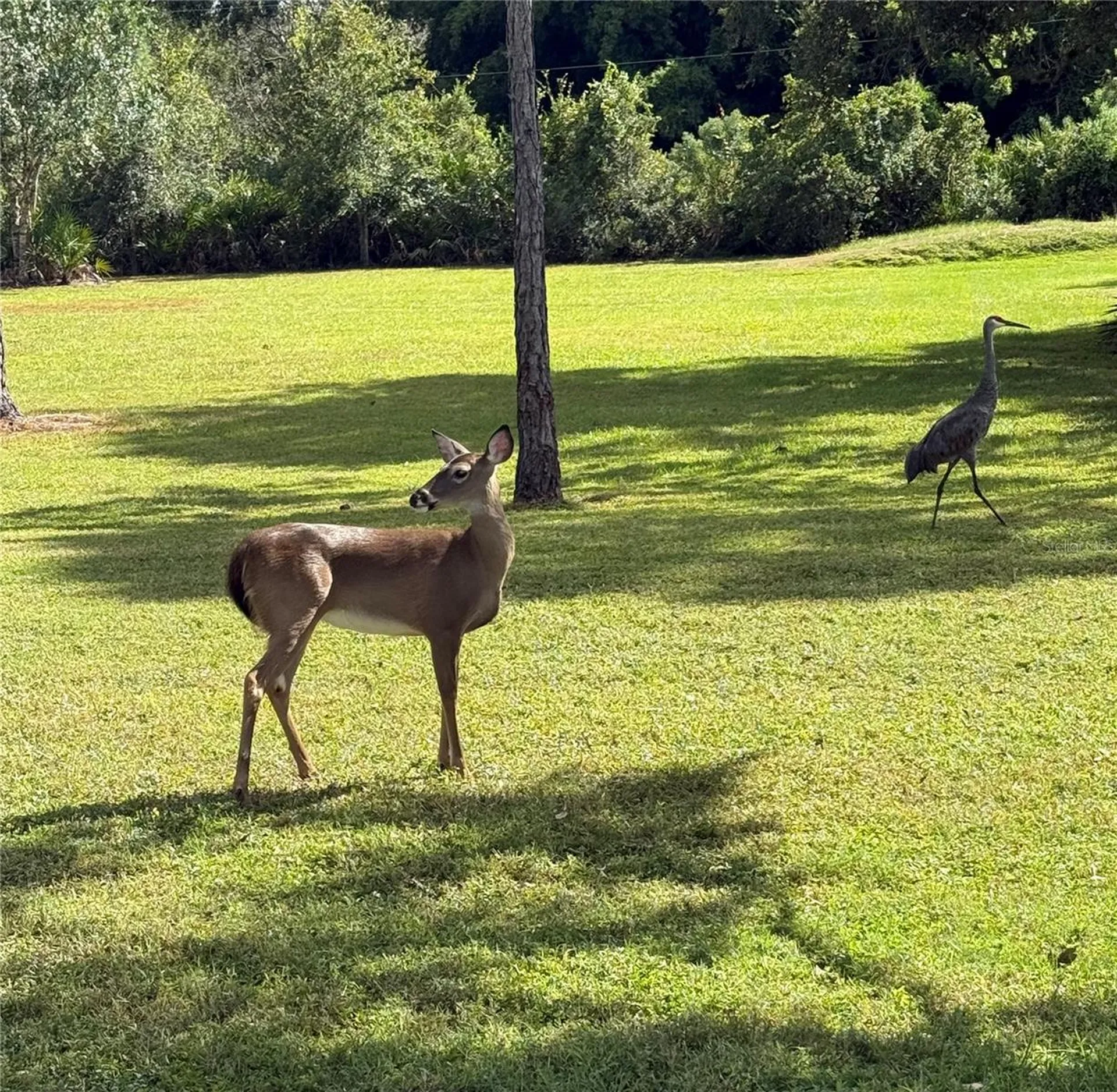 1408 Oak Hammock Road Sarasota FL 34240