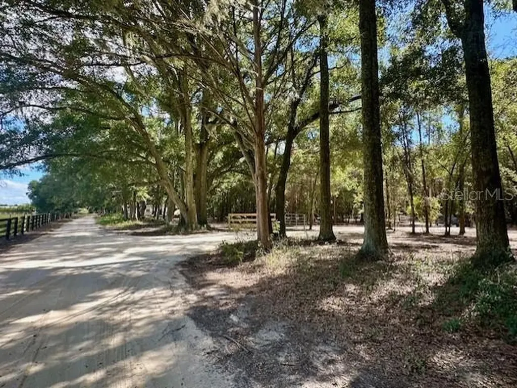SW 20th Street Bell FL 32619