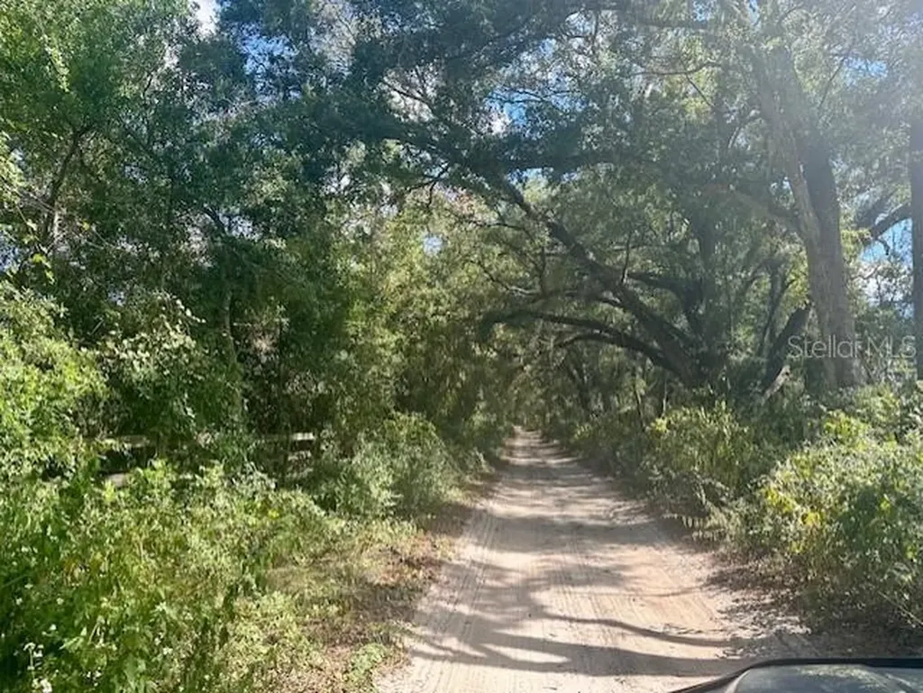 SW 20th Street Bell FL 32619