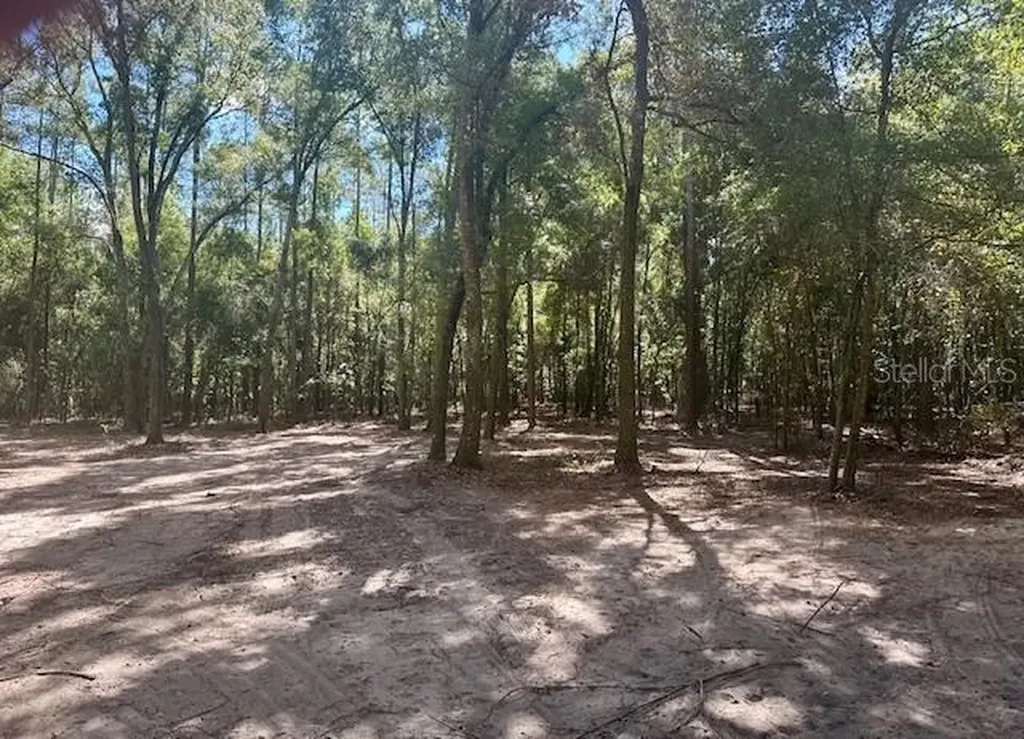 SW 20th Street Bell FL 32619