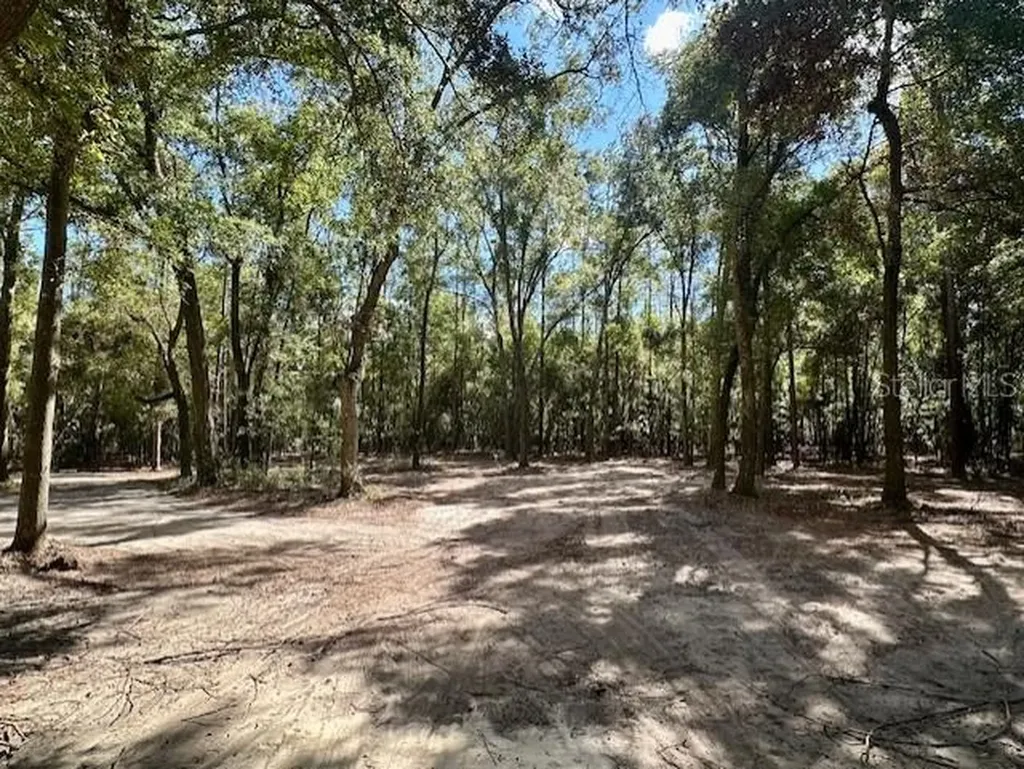 SW 20th Street Bell FL 32619