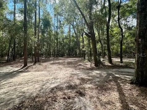 SW 20th Street Bell FL 32619
