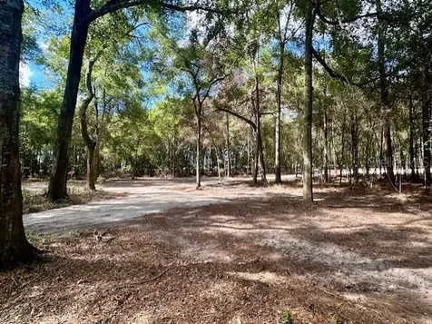 SW 20th Street Bell FL 32619