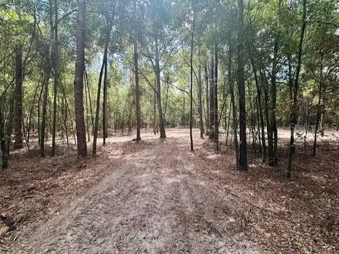 SW 20th Street Bell FL 32619