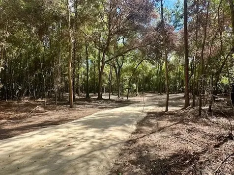 SW 20th Street Bell FL 32619