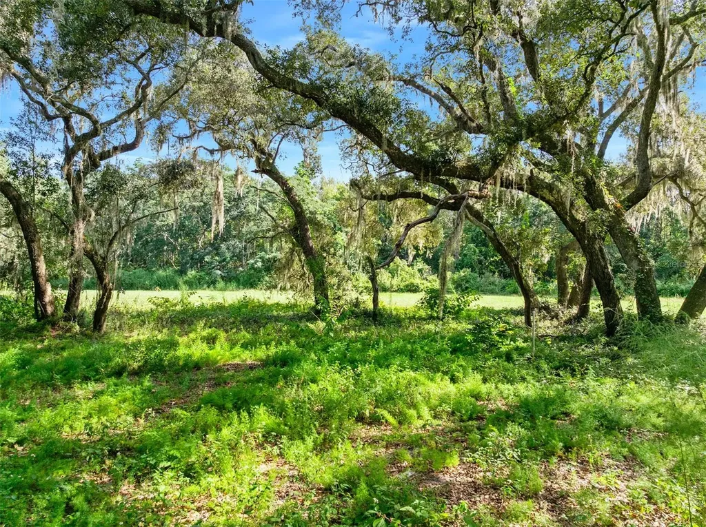 Roberts Road Pierson FL 32180