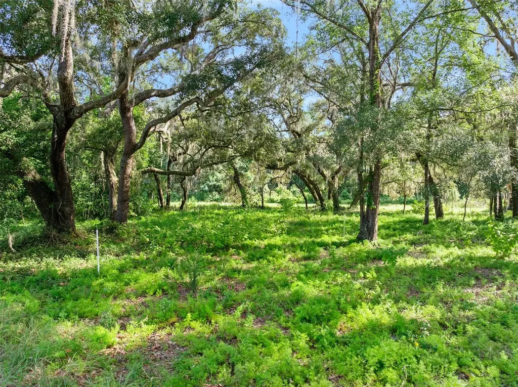 Roberts Road Pierson FL 32180