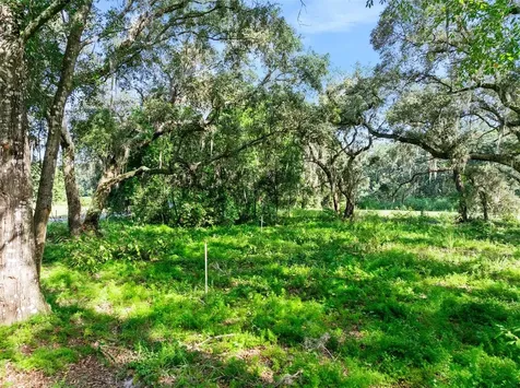 Roberts Road Pierson FL 32180