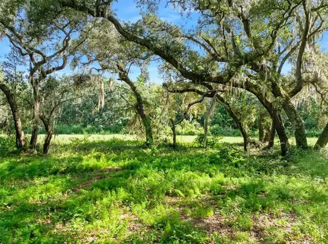 Roberts Road Pierson FL 32180