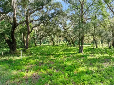 Roberts Road Pierson FL 32180
