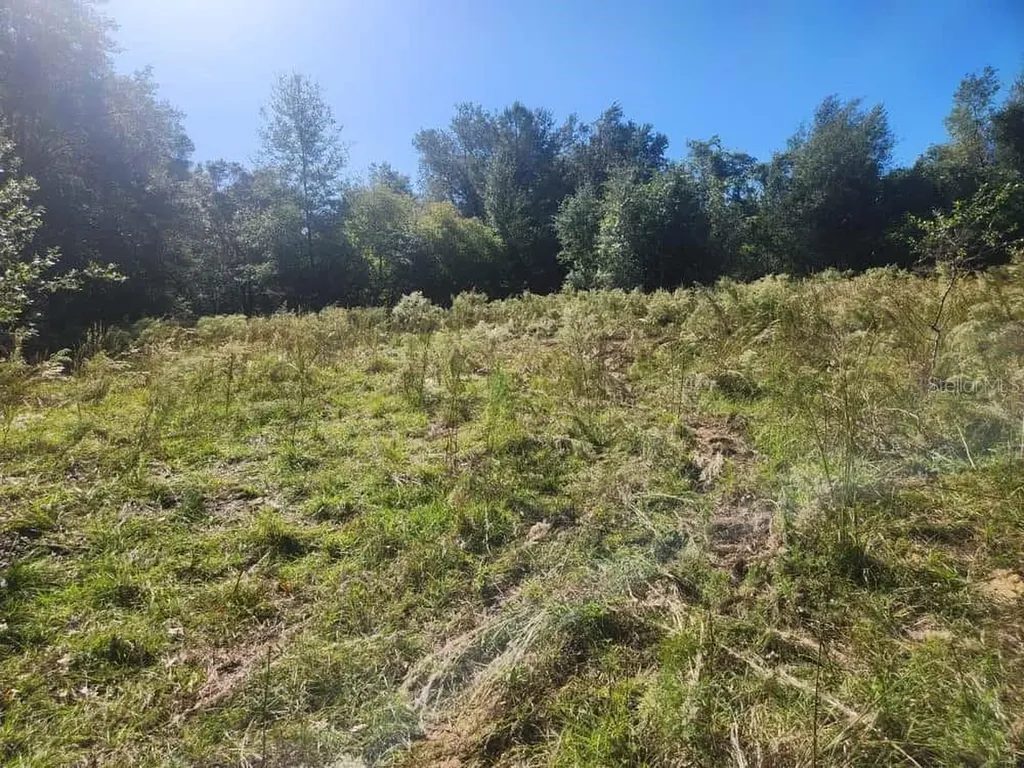 2309 Garfield Street Inverness FL 34453