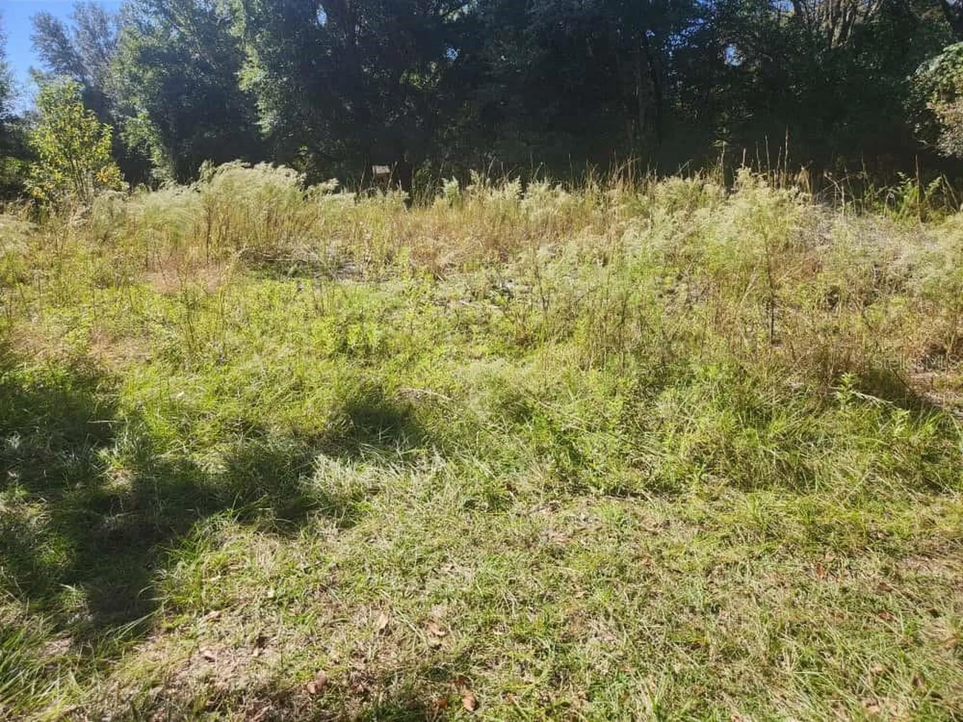 2309 Garfield Street Inverness FL 34453