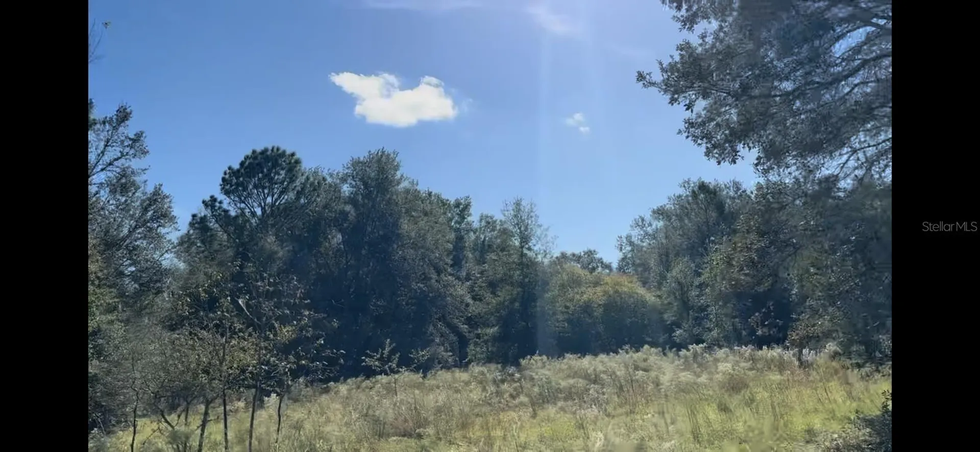 2309 Garfield Street Inverness FL 34453
