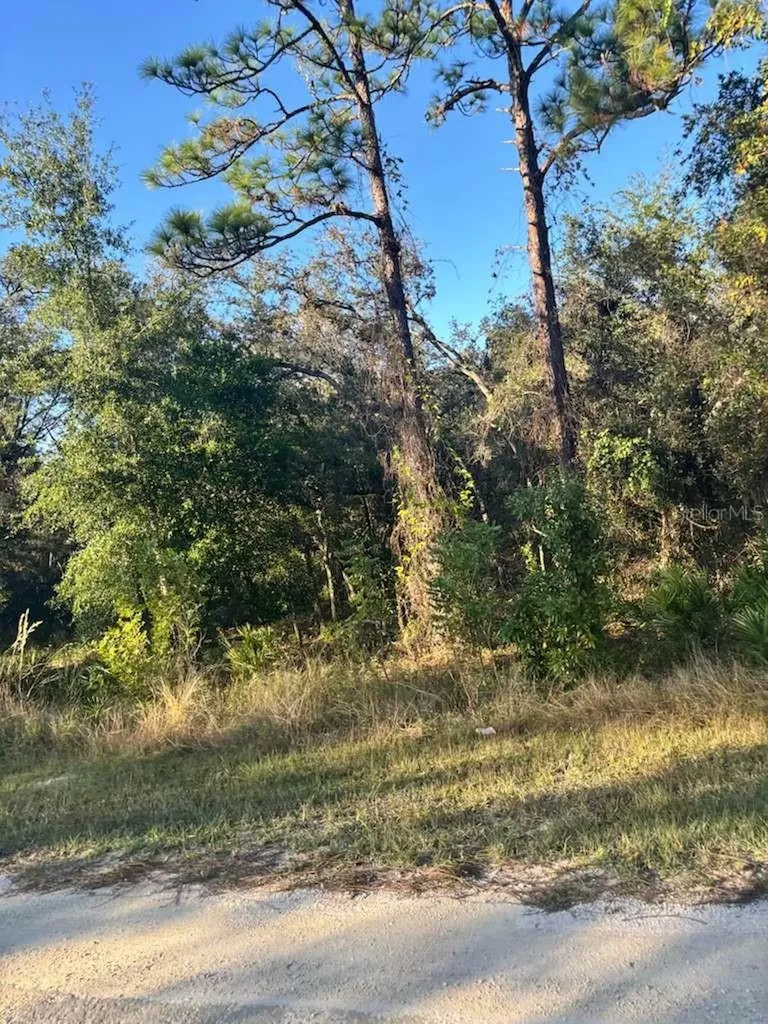 33193 Easter Drive Webster FL 33597