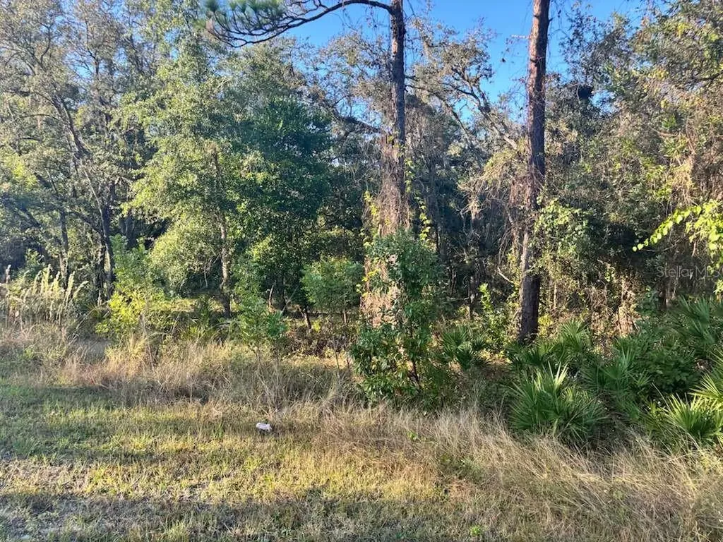 33193 Easter Drive Webster FL 33597