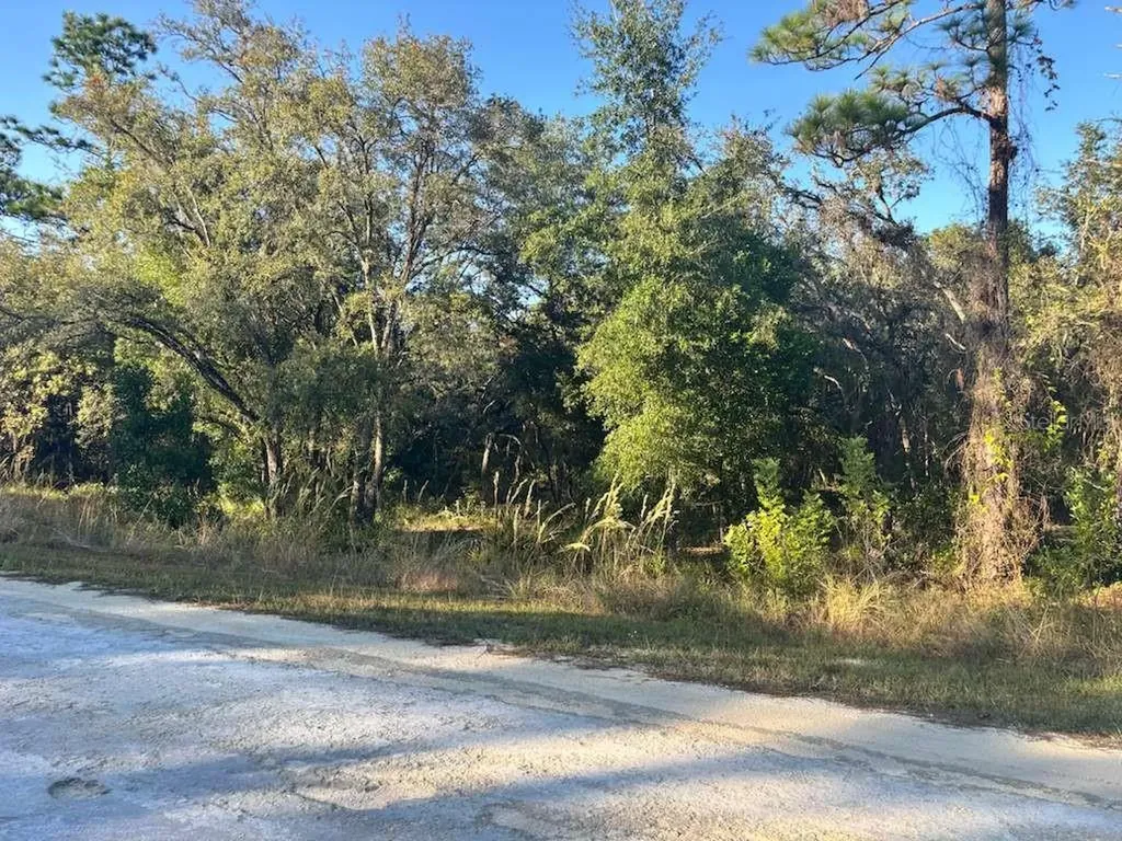 33193 Easter Drive Webster FL 33597