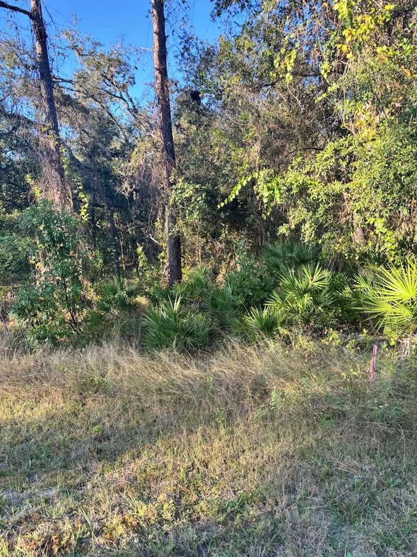 33193 Easter Drive Webster FL 33597