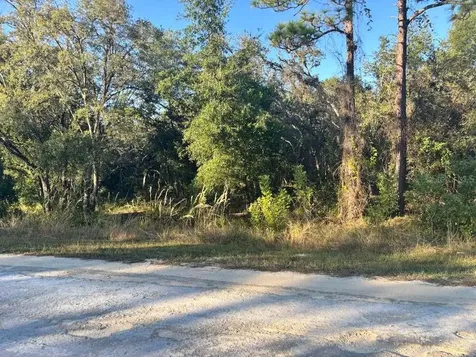 33193 Easter Drive Webster FL 33597