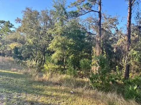 33193 Easter Drive Webster FL 33597