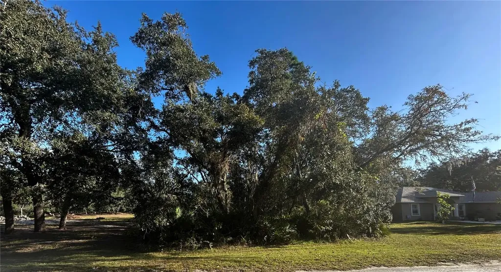 34429 Manuel Street Webster FL 33597