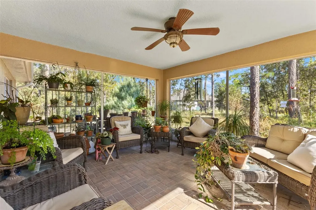 5 Boxleaf Homosassa FL 34446