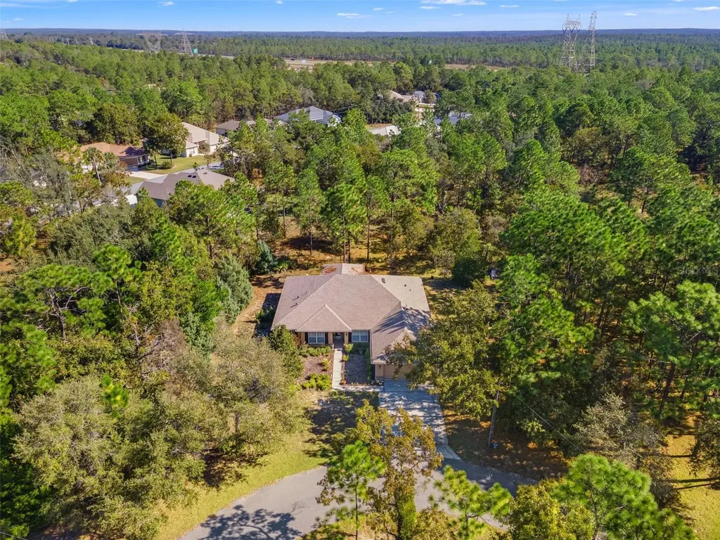 5 Boxleaf Homosassa FL 34446